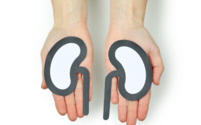 Bolsa Recolectora de Orina: Comodidad, Seguridad e Higiene para el Manejo Urológico