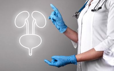 Urología: Usos, Tratamientos y Equipos Clave en la Atención Moderna